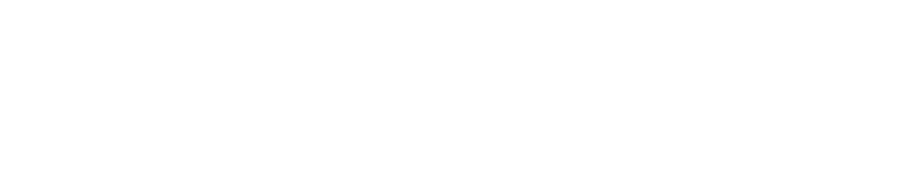シュージドッグス